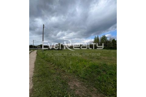 Helårsgrund i Ilhavo, Aveiro, Ilhavo - € 18.000 | Ref: 20260511 - foto 7