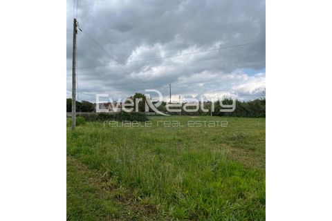 Helårsgrund i Ilhavo, Aveiro, Ilhavo - € 18.000 | Ref: 20260511 - foto 8