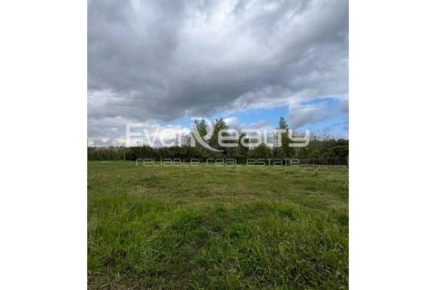 Helårsgrund i Ilhavo, Aveiro, Ilhavo - € 18.000 | Ref: 20260511 - foto 9