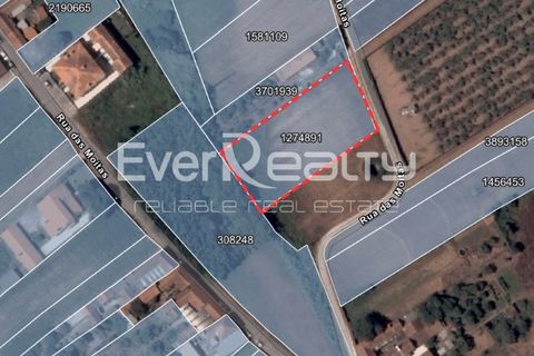 Helårsgrund i Ilhavo, Aveiro, Ilhavo - € 18.000 | Ref: 20260511 - foto 10