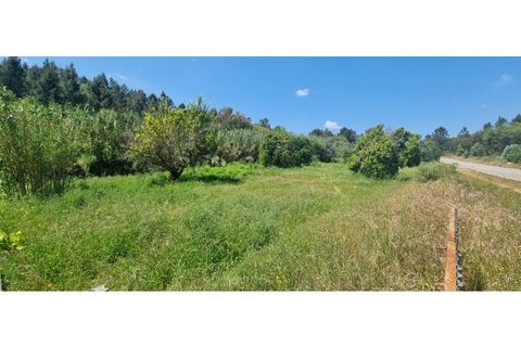 Rækkehus i Gaviao, Portalegre, Gaviao - € 75.000 | Ref: 6531 - foto 21