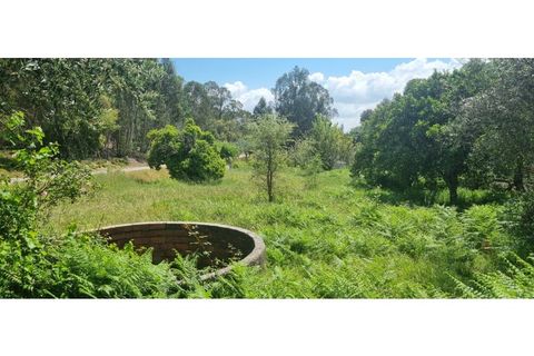 Rækkehus i Gaviao, Portalegre, Gaviao - € 75.000 | Ref: 6531 - foto 22