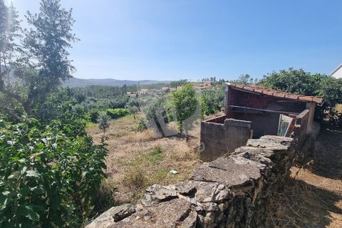 Byhus i Castelo Branco, Castelo Branco, Castelo Branco - € 17.000 | Ref: H789 - foto 2