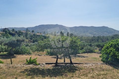Byhus i Castelo Branco, Castelo Branco, Castelo Branco - € 17.000 | Ref: H789 - foto 3