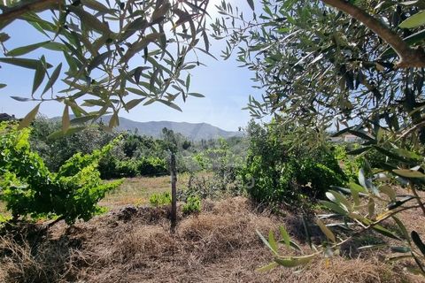 Byhus i Castelo Branco, Castelo Branco, Castelo Branco - € 17.000 | Ref: H789 - foto 4