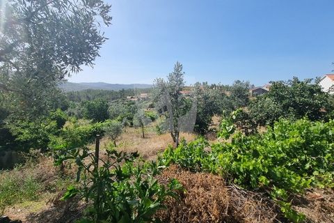 Byhus i Castelo Branco, Castelo Branco, Castelo Branco - € 17.000 | Ref: H789 - foto 5