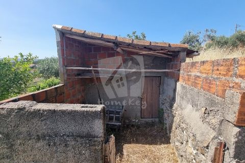Byhus i Castelo Branco, Castelo Branco, Castelo Branco - € 17.000 | Ref: H789 - foto 6