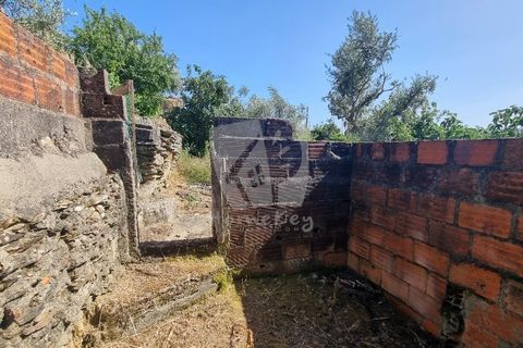 Byhus i Castelo Branco, Castelo Branco, Castelo Branco - € 17.000 | Ref: H789 - foto 8