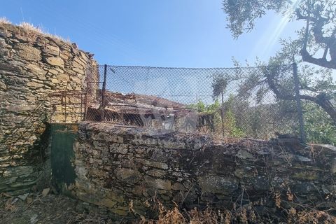 Byhus i Castelo Branco, Castelo Branco, Castelo Branco - € 17.000 | Ref: H789 - foto 10