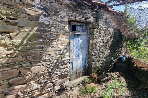 Byhus i Castelo Branco, Castelo Branco, Castelo Branco - € 17.000 | Ref: H789 - foto 13