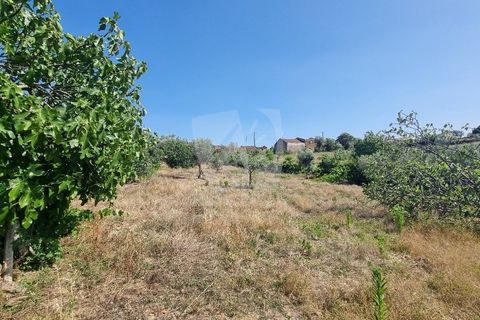 Byhus i Castelo Branco, Castelo Branco, Castelo Branco - € 17.000 | Ref: H789 - foto 16