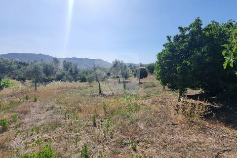 Byhus i Castelo Branco, Castelo Branco, Castelo Branco - € 17.000 | Ref: H789 - foto 17