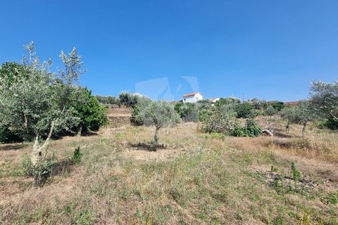 Byhus i Castelo Branco, Castelo Branco, Castelo Branco - € 17.000 | Ref: H789 - foto 18