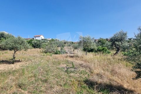 Byhus i Castelo Branco, Castelo Branco, Castelo Branco - € 17.000 | Ref: H789 - foto 19