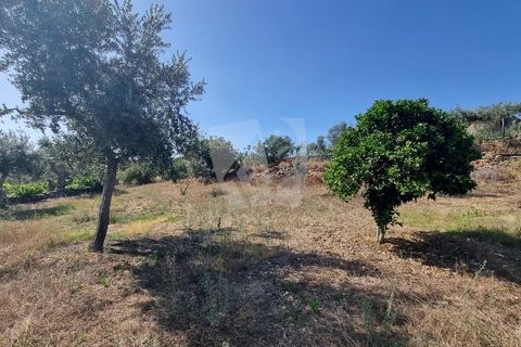 Byhus i Castelo Branco, Castelo Branco, Castelo Branco - € 17.000 | Ref: H789 - foto 20