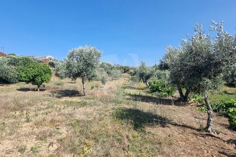 Byhus i Castelo Branco, Castelo Branco, Castelo Branco - € 17.000 | Ref: H789 - foto 21