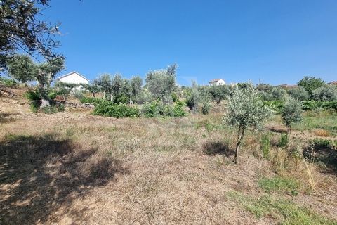 Byhus i Castelo Branco, Castelo Branco, Castelo Branco - € 17.000 | Ref: H789 - foto 23