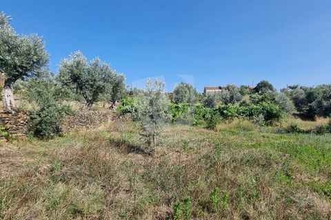 Byhus i Castelo Branco, Castelo Branco, Castelo Branco - € 17.000 | Ref: H789 - foto 24