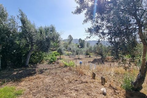Byhus i Castelo Branco, Castelo Branco, Castelo Branco - € 17.000 | Ref: H789 - foto 26