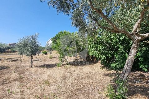 Byhus i Castelo Branco, Castelo Branco, Castelo Branco - € 17.000 | Ref: H789 - foto 27