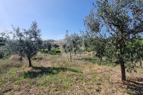 Byhus i Castelo Branco, Castelo Branco, Castelo Branco - € 17.000 | Ref: H789 - foto 28