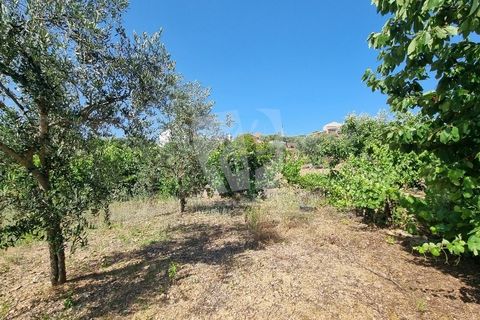 Byhus i Castelo Branco, Castelo Branco, Castelo Branco - € 17.000 | Ref: H789 - foto 29