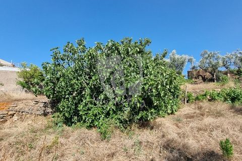 Byhus i Castelo Branco, Castelo Branco, Castelo Branco - € 17.000 | Ref: H789 - foto 33