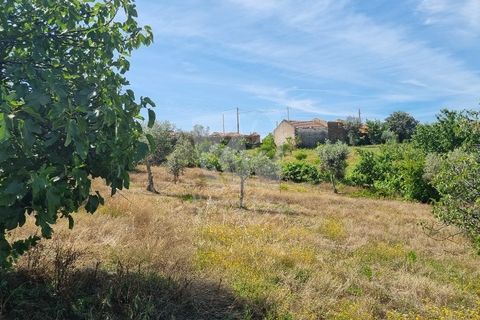 Byhus i Castelo Branco, Castelo Branco, Castelo Branco - € 17.000 | Ref: H789 - foto 34