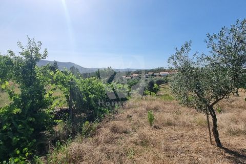 Byhus i Castelo Branco, Castelo Branco, Castelo Branco - € 17.000 | Ref: H789 - foto 35