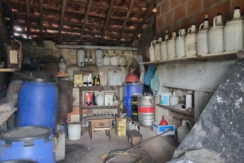 Byhus i Castelo Branco, Castelo Branco, Castelo Branco - € 17.000 | Ref: H789 - foto 39