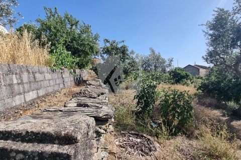 Byhus i Castelo Branco, Castelo Branco, Castelo Branco - € 17.000 | Ref: H789 - foto 40