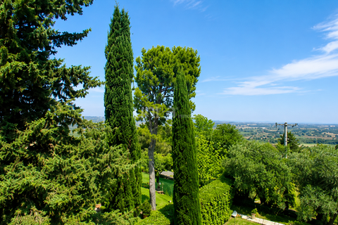 Lejlighed i Jesi, Ancona, Jesi - € 110.000 | Ref: J3085 - foto 13