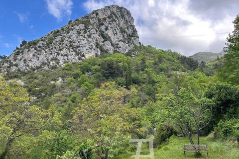 Terra a Castellar, Alpes-Maritimes, Castellar - € 66.000 | Ref: 87018062 - foto 7