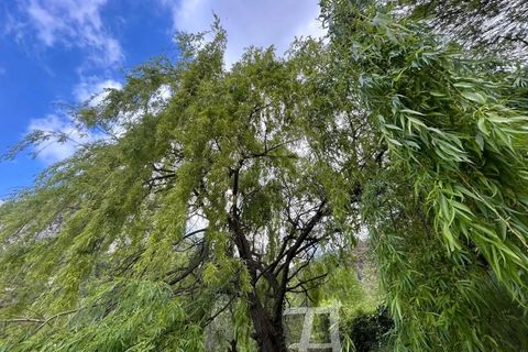 Terra a Castellar, Alpes-Maritimes, Castellar - € 66.000 | Ref: 87018062 - foto 8