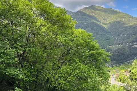 Terra a Castellar, Alpes-Maritimes, Castellar - € 66.000 | Ref: 87018062 - foto 9