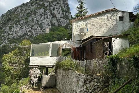 Terra a Castellar, Alpes-Maritimes, Castellar - € 66.000 | Ref: 87018062 - foto 10