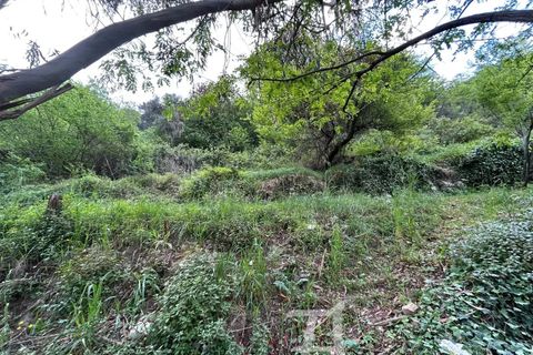 Terra a Castellar, Alpes-Maritimes, Castellar - € 66.000 | Ref: 87018062 - foto 16