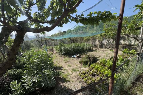 Villa a Amelia, Terni, Amelia - € 168.000 | Ref: 193-1365365 - foto 18
