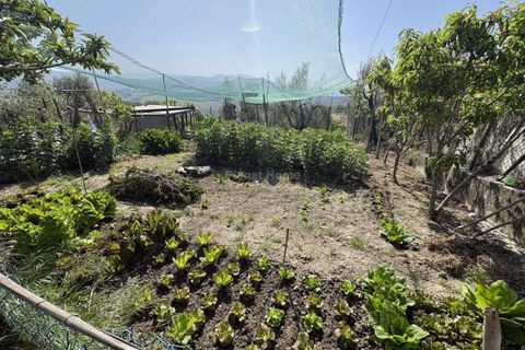 Villa a Amelia, Terni, Amelia - € 168.000 | Ref: 193-1365365 - foto 19
