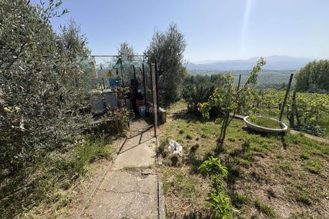 Villa a Amelia, Terni, Amelia - € 168.000 | Ref: 193-1365365 - foto 21