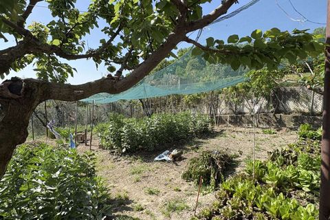 Villa a Amelia, Terni, Amelia - € 168.000 | Ref: 193-1365365 - foto 25