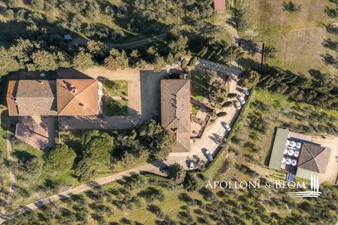 Landejendom i Empoli, Florence, Empoli - € 6.800.000 | Ref: FIR3767-1365445 - foto 5
