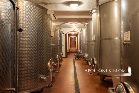 Landejendom i Empoli, Florence, Empoli - € 6.800.000 | Ref: FIR3767-1365445 - foto 23