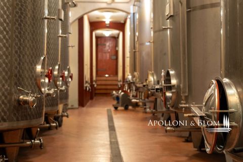 Landejendom i Empoli, Florence, Empoli - € 6.800.000 | Ref: FIR3767-1365445 - foto 24