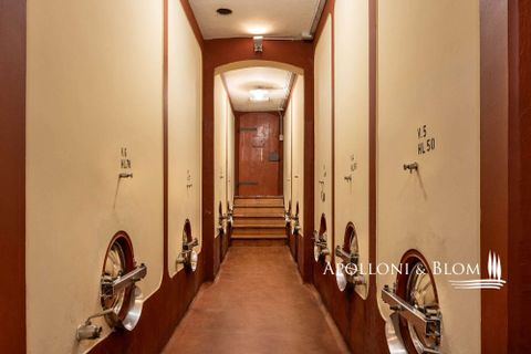 Landejendom i Empoli, Florence, Empoli - € 6.800.000 | Ref: FIR3767-1365445 - foto 25