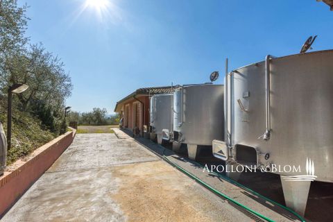 Landejendom i Empoli, Florence, Empoli - € 6.800.000 | Ref: FIR3767-1365445 - foto 35