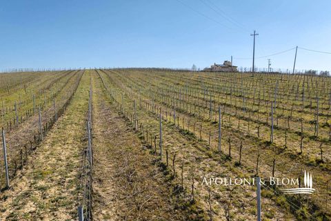 Landejendom i Empoli, Florence, Empoli - € 6.800.000 | Ref: FIR3767-1365445 - foto 36