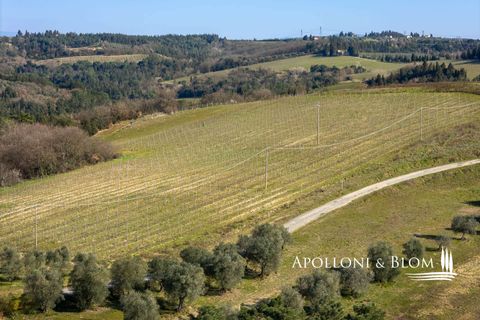 Landejendom i Empoli, Florence, Empoli - € 6.800.000 | Ref: FIR3767-1365445 - foto 37