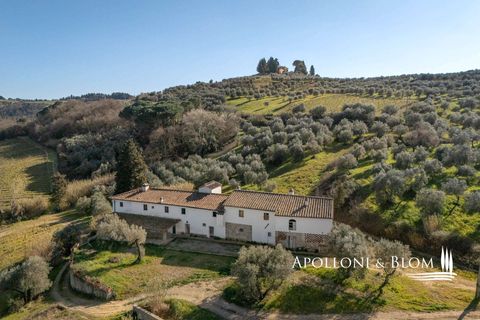 Landejendom i Empoli, Florence, Empoli - € 6.800.000 | Ref: FIR3767-1365445 - foto 38