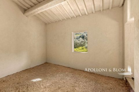 Landejendom i Empoli, Florence, Empoli - € 6.800.000 | Ref: FIR3767-1365445 - foto 41
